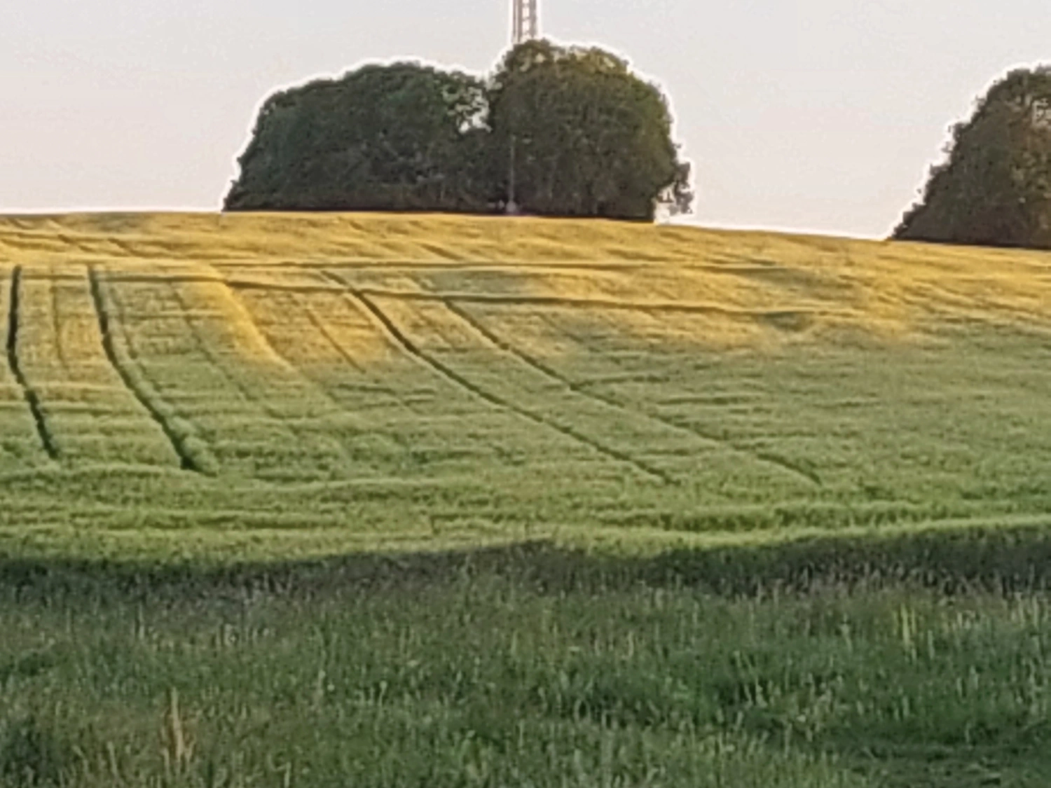 InWandlung - Feld